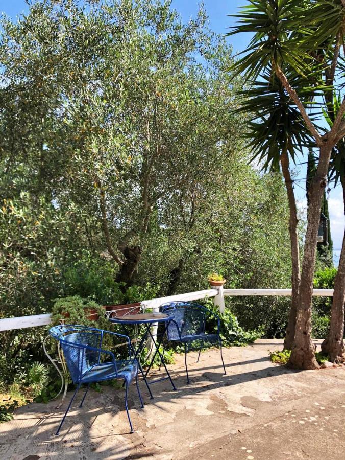 Cottage Pura Vigna Immerso Nella Natura Vicino Al Mare 포르투산투스테파노 외부 사진