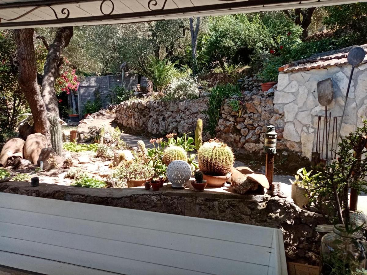 Cottage Pura Vigna Immerso Nella Natura Vicino Al Mare 포르투산투스테파노 외부 사진
