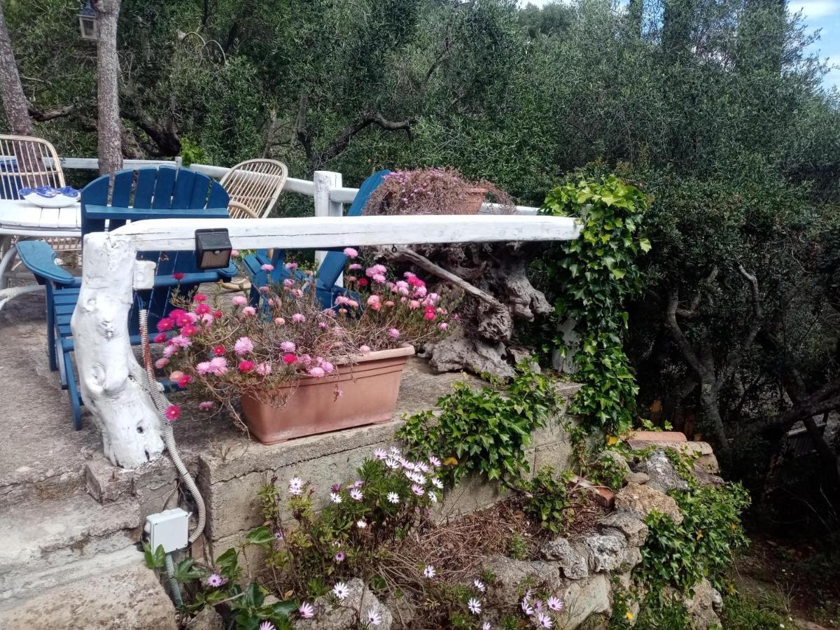 Cottage Pura Vigna Immerso Nella Natura Vicino Al Mare 포르투산투스테파노 외부 사진