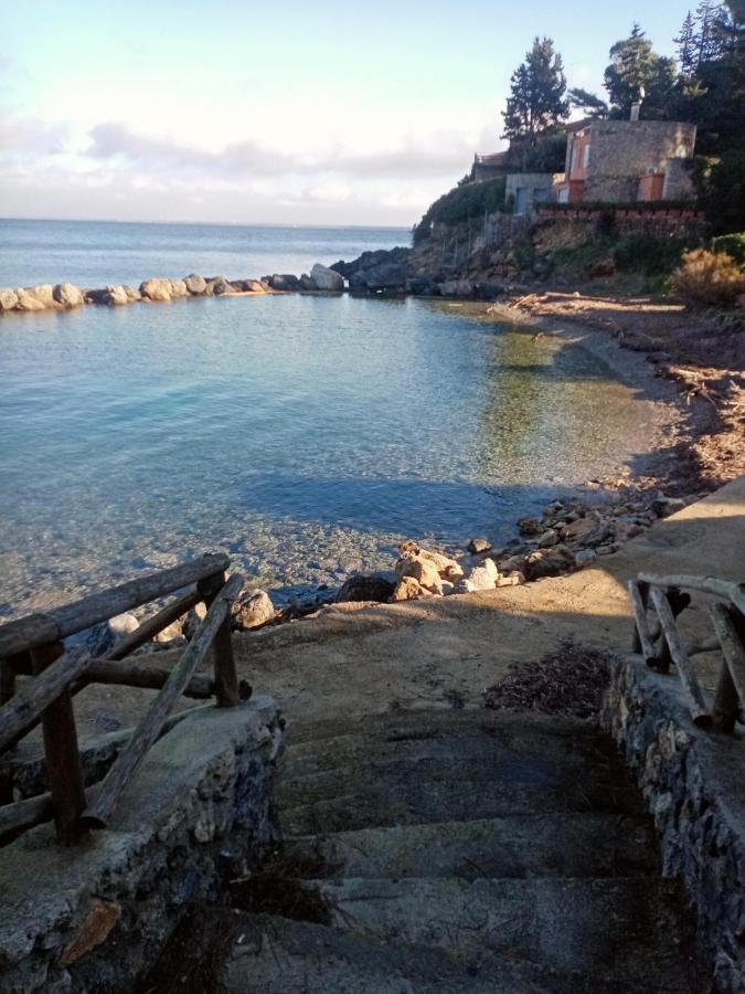 Cottage Pura Vigna Immerso Nella Natura Vicino Al Mare 포르투산투스테파노 외부 사진