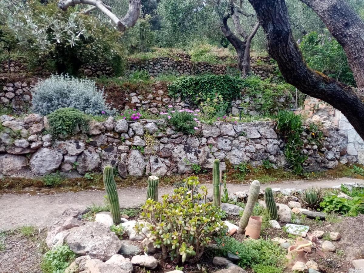 Cottage Pura Vigna Immerso Nella Natura Vicino Al Mare 포르투산투스테파노 외부 사진