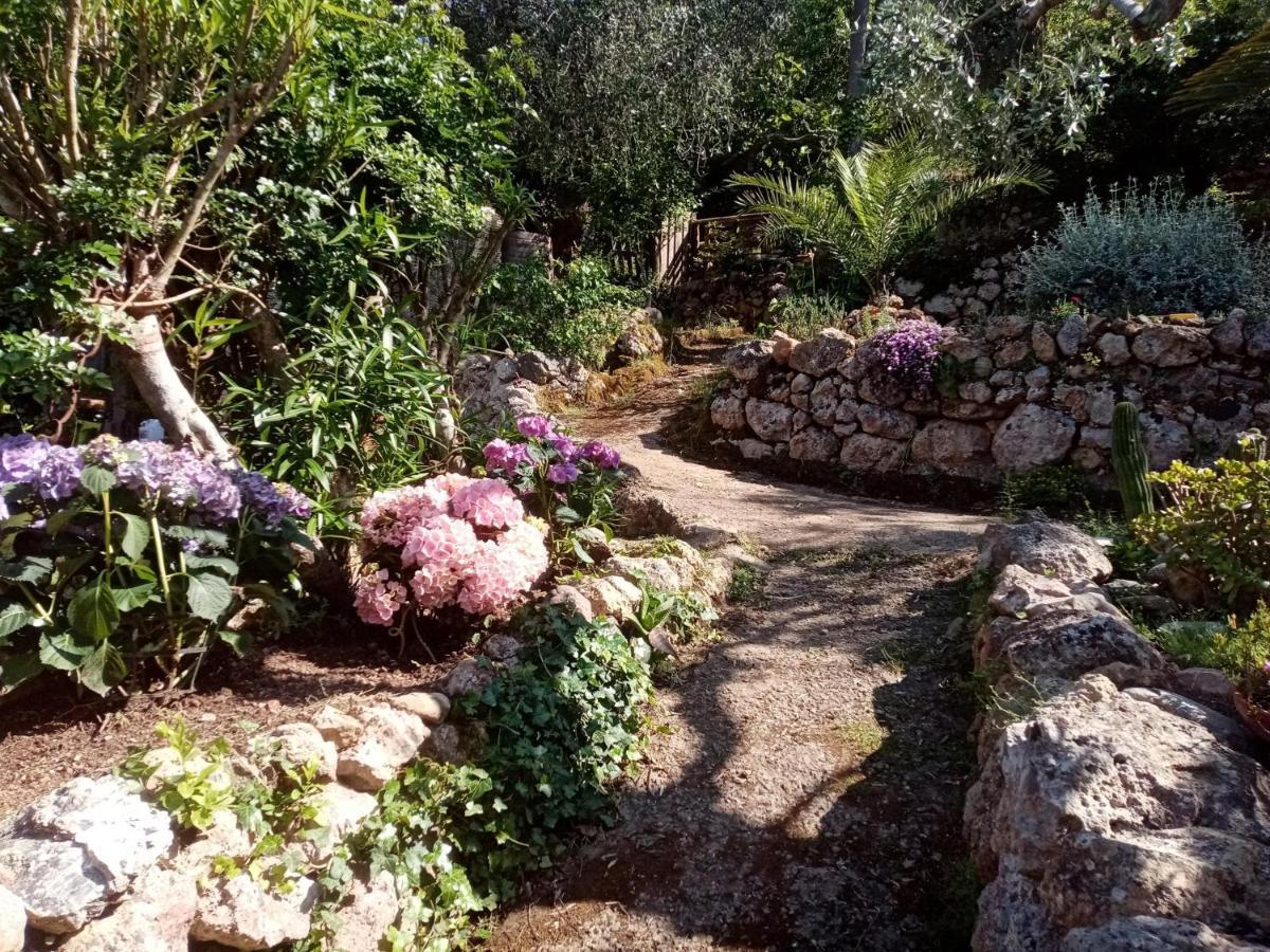 Cottage Pura Vigna Immerso Nella Natura Vicino Al Mare 포르투산투스테파노 외부 사진