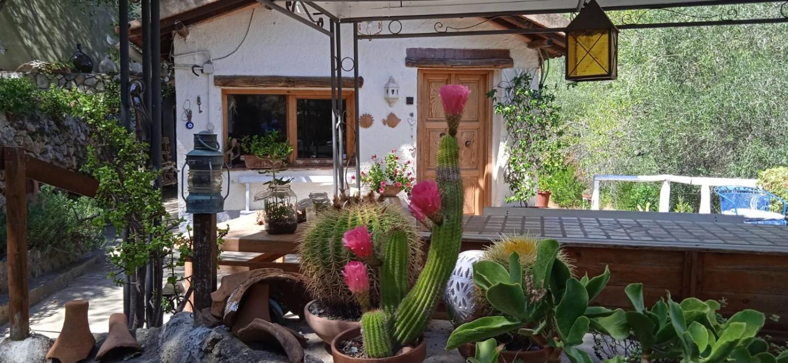 Cottage Pura Vigna Immerso Nella Natura Vicino Al Mare 포르투산투스테파노 외부 사진