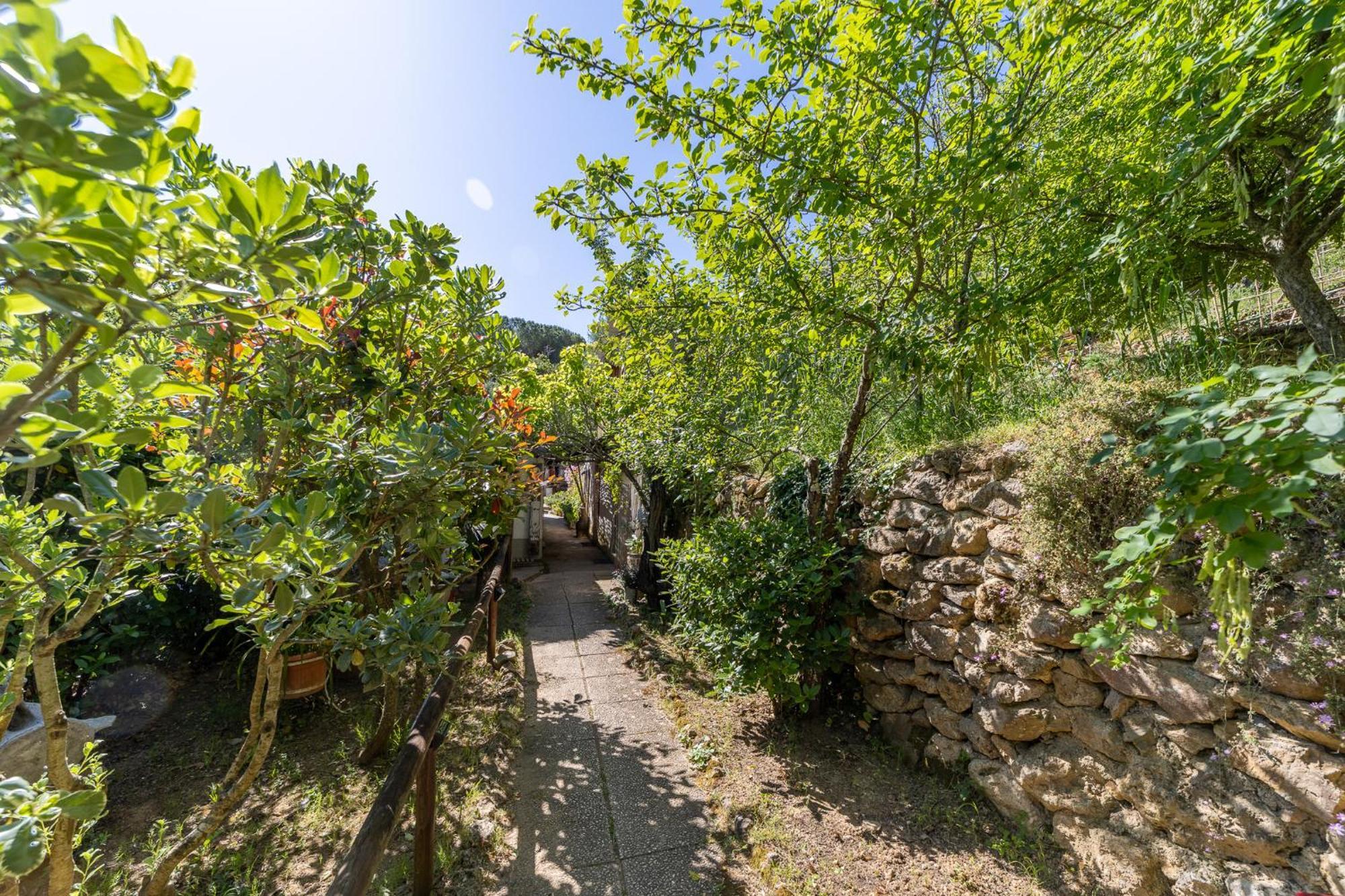 Cottage Pura Vigna Immerso Nella Natura Vicino Al Mare 포르투산투스테파노 외부 사진