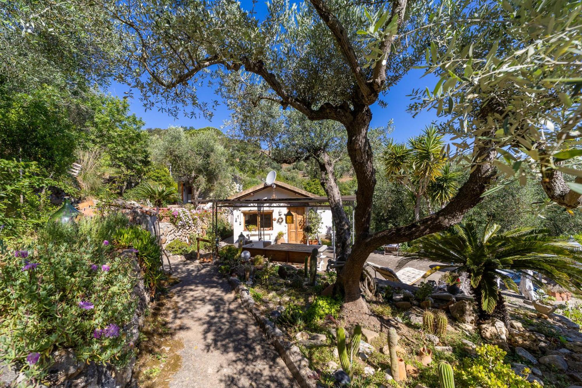 Cottage Pura Vigna Immerso Nella Natura Vicino Al Mare 포르투산투스테파노 외부 사진